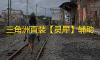 三角洲直装【灵犀】辅助